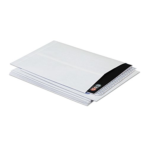 Ampad Fastrip Security Catalog Envelope, 9 Inch X 12 Inch, Peel & Seal Adhesive, Security Tint, Tear-Away Quick-Open Strip, White, 100 Per Box (73127) #TOP2