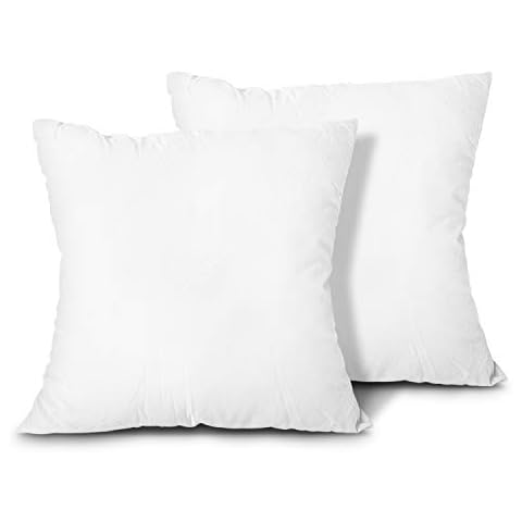 EDOW Throw Pillow Inserts - Set of 2 Lightweight Polyester Pillows Cover