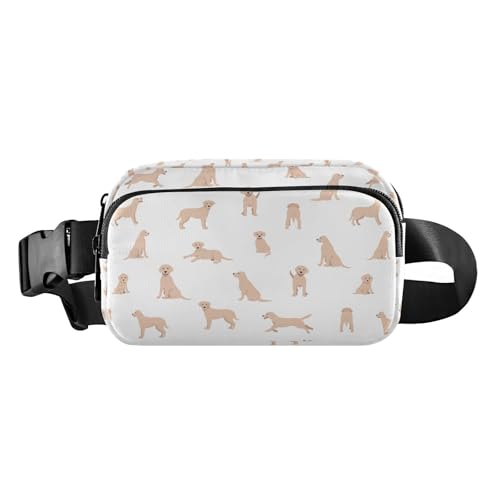 SAMAU Y EFXg|[`  e  fB[X EFXgobO h y @\ ΂߂ ʊw Ɨp s X|[c