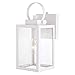 Medinah 1 Light Dusk to Dawn White Outdoor Wall Lantern Clear Glass