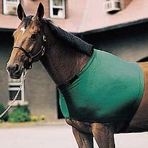 for Horses Small Solid Stretch Shoulder Guard Hunter Green