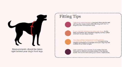 Image of BUDDY BELT PooPurse Premium - Red