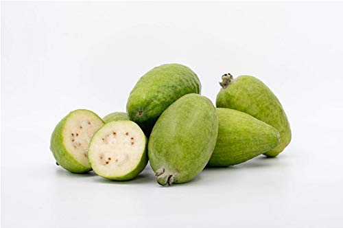 New Zealand 100% Organic Feijoa Pineapple Guava Puree Gluten-Free, 300 mL | 10.1 fl oz - Thumbnail 2