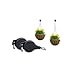 2Pcs Professional Creative Easy Reach Retract Plant Pulley Extender Hanging Hooks