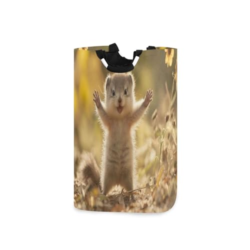 Jihqo Laundry Hamper Basket Cute Squirrel Collapsible Nursery Storage Bin Waterproof Clothing Baskets for Home Bedroom Bathroom Washing Room