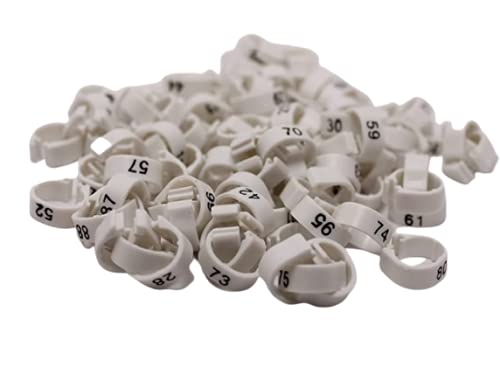 Acro Pigeon Leg Plastic Ring Ring for Pigeon for Pigeons (100 Pcs) (B095CDNK87) Amazon Price History, Amazon Price Tracker