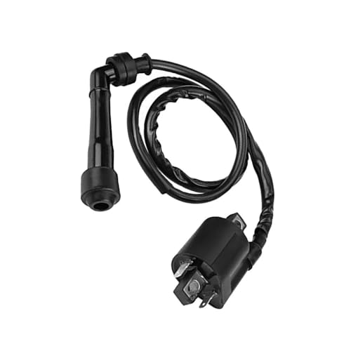 Bobina de encendido VL800 2001-2004: repuesto de moto Suzuki