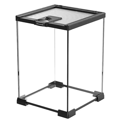 ঒ރP[W P[X gJQ  OXeE glass terrarium for praying mantis  P[X 㕔a e NXebhQbR[ P[W ރ{bNX P[W gJQ/T///nlY~Kp