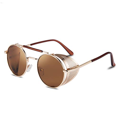 FEISEDY Steam Punk Sunglasses for Men Women Side Shield Round Steampunk Vintage Glasses Shades B2518