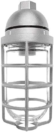RAB Lighting VP100DG Vaporproof VP Ceiling Pendant Mount with Glass Globe and Cast Guard, A19 Type, Aluminum, 150W Power, 1/2" Hub, Natural,Multi