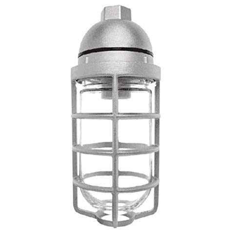 Rab Lighting Vp100Dg Vaporproof Vp Ceiling Pendant Mount With Glass Globe And Cast Guard, A19 Type, Aluminum, 150W Power, 1/2" Hub, Natural,Multi #TOP3