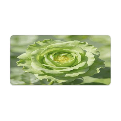 Alfombrilla Grande para Escritorio Rubber 30x60 cm