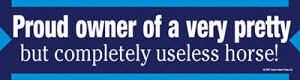 Proud owner pretty but useless horse! Bumper Sticker