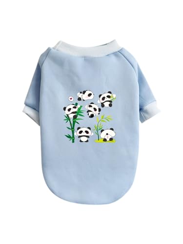  킢 p_ ybg hbOEFA ̕ L ybgEFA h _炩 іh~   t@bV U ybgpi