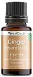 Viva Doria 100% Pure Ginger Fresh Essential Oil, Undiluted, Food Grade, Ginger Oil, 0.5 Fluid Ounce (15 mL) Natural Aromatherapy Oil