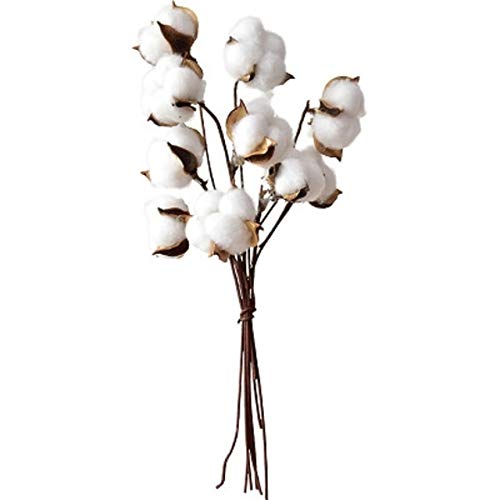 Vase en verre fleur nordique original à offrir comme bijoux de décoration intérieure