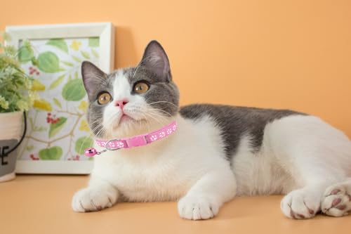 Collares reflectantes para gatos Deetenks pack de 19 piezas con cascabel ajustables 8