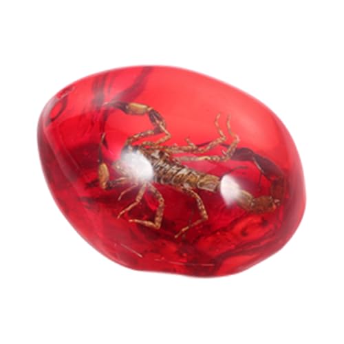 ifundom Amber Beeswax Specimen Desktop Amber Ornament Amber Insect Scorpion Insectspecimen Insect Samples Stones Artificial Amber Specimen Amber Stone Amber Collection DIY Crafts Red Resin