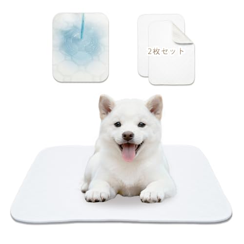 [NyonikoijjRj] 􂦂ybgV[c z }bg  ybg}bg Rh~ ybgppbh ld\ gC~}bg ~ V[g h ݑϐ ^ ^ ^ L p p   lG