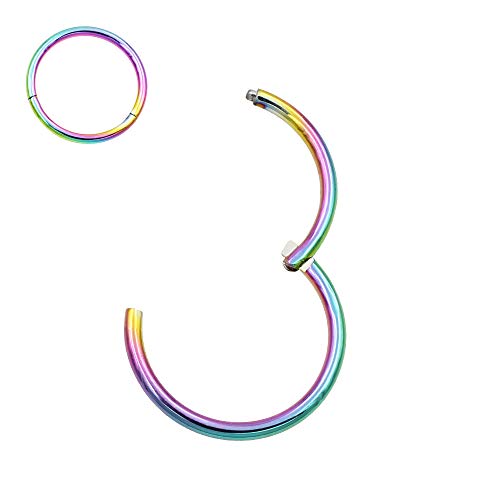 Image of FANSING Men Women 316L Surgical Steel Hinged Nose Rings Hoop for Nostril Septum Cartilage Helix Daith Tragus Rook Conch Lip Ear Lobe Piercings
