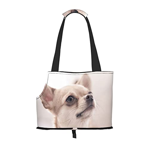 Carina borsa pieghevole per cani Chihuahua, borsa portabagagli, adatta per cuccioli, cani di piccola taglia e gatti per viaggi all'aperto