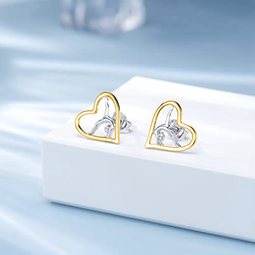 Image of Gymnastics Gifts for Women Gymnast Stud Earrings 925 Sterling Silver Team USA Gymnastics Fashion Jewelry Sport Birthday Christmas Gifts