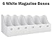 Dunwell White Magazine Box (6 Pack), Sturdy Cardboard File Folder Holder for Desk, Shelves, Office or Classroom, Ships Flat, Assembles in Seconds, Includes Labels