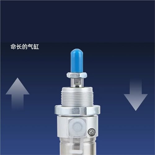 Cylindre pneumatique rond robuste DSNU en acier inoxydable premium - 4