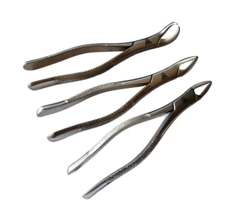 Image of Heavy Duty Dental Extracting Forceps # 150# 151# 23, Apical Forceps, Cowhorn Forceps, Lower Molars, Atraumair - 3 Pcs