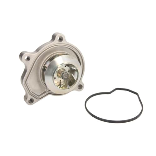Hepu P566 Wasserpumpe