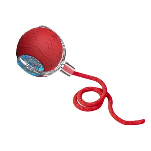 KJOET C^NeBuȔL̃{[̂A[O{[Lbg | pYL̂Ⴈ[vt̎[O{[,L̃ANZT[Aƒx̌̂߂̏[d̃ybgpiAL