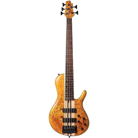 Cort A5 Plus 5 String Bass Cover