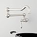 Signature Hardware 449267 Signature Hardware 948539 Amberly 6 GPM Wall Mounted Single Handle Pot Filler Fa