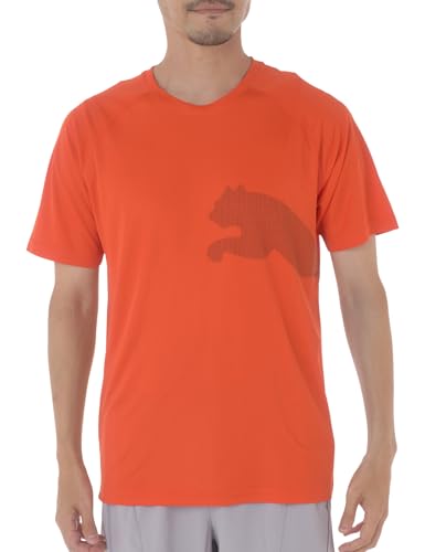 PUMA [プーマ] スポーティ TRAIN ALL DAY BIG CAT Tシャツ 525939 メンズ
