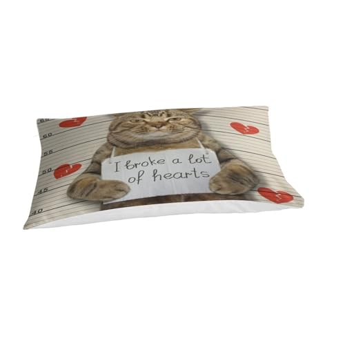 Housse de couette chaton mignon lit simple 135x200 microfibre