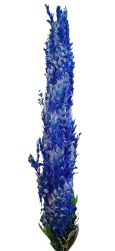 Jumbo Bushy Aquarium, Pond Artificial Blue and White Plant 75-80cm