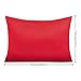 Satin Silky Toddler Pillowcases 2 Pack, 13x18 Pillowcases with Hidden Zipper - Luxury and Silky Baby Travel Pillow Covers, Red