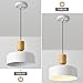 TeHenoo Modern Pendant Light,12 inch,Natural Wood and Brass Accent,Adjustable Simple Pendant Light Fixture for Kitchen Island, Dining Room, Matte White