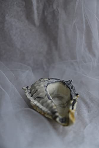 Topys Candle Jar Silicone Molds, Conch Candle Mold, Shell Shape Succulent Planting Container Mould For Making Uv Epoxy Plaster Concrete Storage Box Home Decor Planter Concrete Flowerpot #TOP6