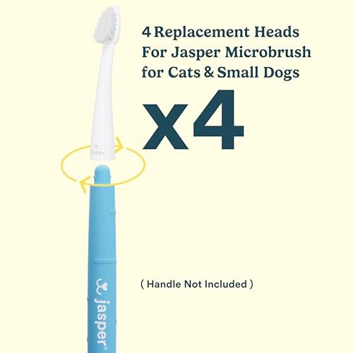 Image of Jasper Microbrush Cat Toothbrush, Soft-Bristled Toothbrush Kit for Felines & Small Dogs, Non-Slip Handle with 2 Replaceable Brush Heads, Use with Cat Toothpaste (Microbrush, Brush Heads Only)
