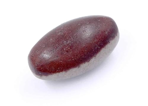 Image of PANDIT NM SHRIMALI Natural Narmadeshwar Shivling Original | Ardhnarishwar Shivling Narmadeshwar Stone for Jaldhari Stand Pooja Abhishek Lord Shiva Ji Home Office Gift Item, 2.5 Inch