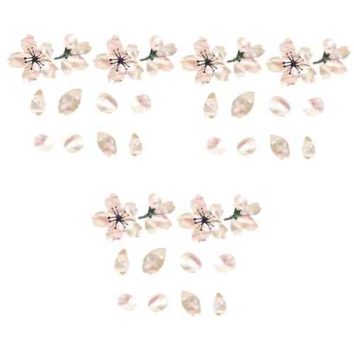 COSMEVIVI 6?ԃfUC̃M^[ EN x[XpplXebJ[ 