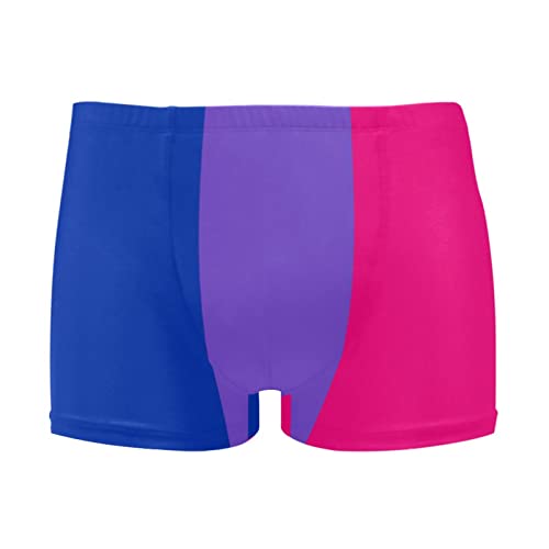 Men Beach Swim Brief Bikini Bisexual Flag Striped Rainbow Men's Square Leg Swim Briefs Large