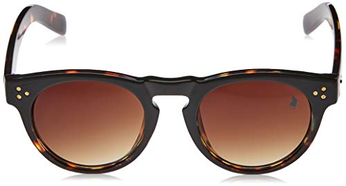 Óculos de sol óculos de sol, Polo London Club, Feminino, marrom, Único
