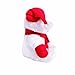 KINREX Christmas Stuffed Animal – White Santa Teddy Bear Plush Stuff Toy, Holiday Animals Bears with Red Hat, Scarf & Gloves, Gift Toys for Kids & Adults, Measures 11.81” / 30 cm.