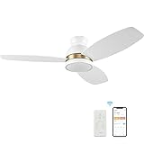 52" Flush mount Ceiling Fan with Light, Indoor & Outdoor Ceiling Fan with 10-Speed Quiet DC Motor, S