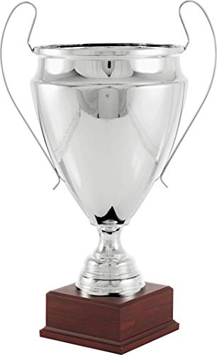 Art-Trophies at82961 Trophée de Sport, Argent, Taille Unique