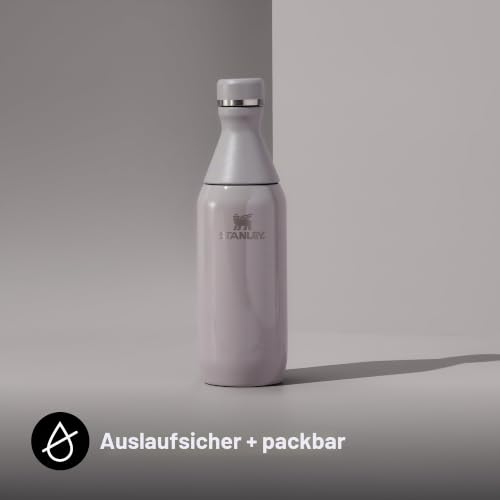 STANLEY 1913 All Day Slim Trinkflasche 0.35L - Ash – Ansicht 5