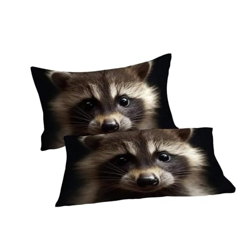 Housse de Couette King Raton Laveur avec 2 Taies d'Oreiller