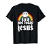 Not Today Jesus Rainbow Satanic Panda Goth Metal Concert T-Shirt